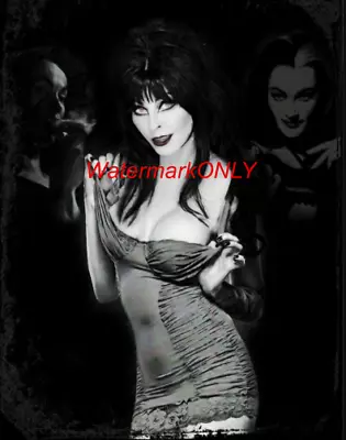 Gorgeous  SEXY   Elvira   Lily Munster  &  Morticia Adams   Pin-Up  PHOTO! #156 • $9.99