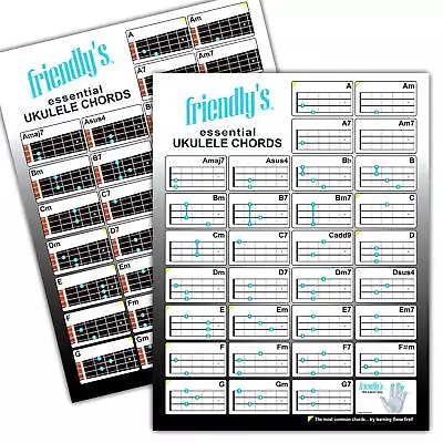 Ukulele Chord Chart –The Most Common Ukulele Chords Durable Laminated Low-Gl... • $20.56