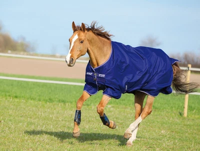 £83.99 • Buy Horseware Amigo Hero 900 Mediumweight 200g Horse Turnout Rug In Blue