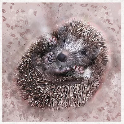 £2.45 • Buy Hedgehog, Ball, Art Fabric Craft Panels In 100% Cotton Or Polyester