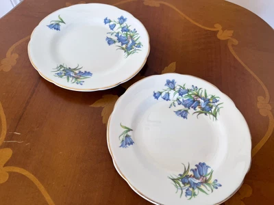 £4 • Buy Two Vintage Regency Bone China Tea Plates / Side / Bread Plates Harebell Design