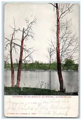 Lafayette Indiana IN Postcard Sycamores On The Banks Of The Wabash 1907 Vintage • $29.95