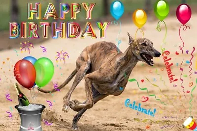 £2.94 • Buy Racing Greyhound Whippet Birthday Card Greeting Sport Dog Dogs Celebrate Friend 