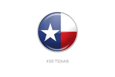 RaceDots: Magnetic Race Number Positioning System 4-Pack (Texas Flag) • $21.95