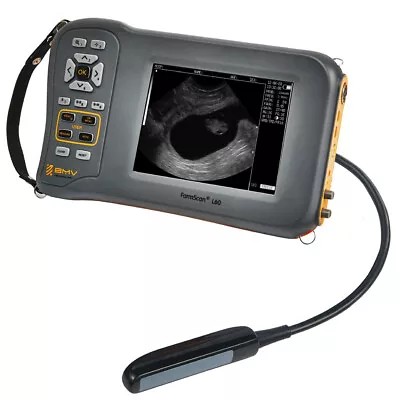 VET Handheld Veterinary Ultrasound Scanner For Sheep Cow Horse With Rectal Probe • £1589.89