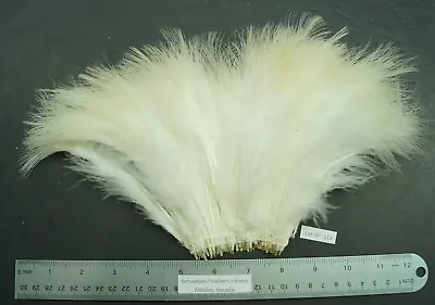 Natural Cream/White 5  To 6  Strung Turkey Marabou Feathers Lot- SF 113 • $5.99