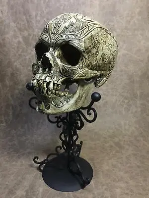 Vlad Tepes The Impaler Skull Real Human Skull RESIN REPLICA By Zane Wylie • $327