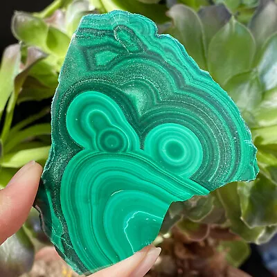 140G Natural Green Malachite Slab Quartz Crystal Slice Ore Specimen Healing • $0.99