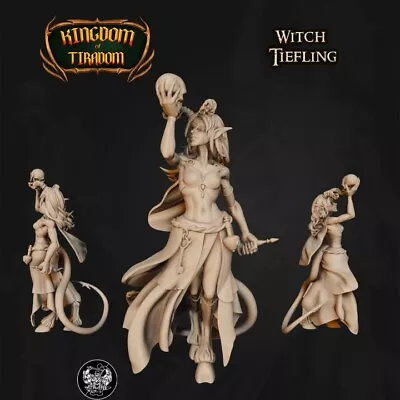 Witch Tiefling Fantasy Miniature By The Master Forge • $6