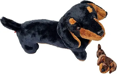 Sausage Dog Plush Soft Toy Teddy Bear 30cm Dachshund - Gosh! Designs • £11.95
