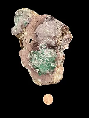 Variscite  Lucin Utah Rough Natural Edison Bird Mine 1250 Grams • $89