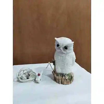 VINTAGE Bisque Owl Lamp Night Light • $24