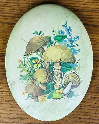 Mushroom Wall Plaque Hanging Vintage Mcm 9  Hand Painted Oval • $24.99