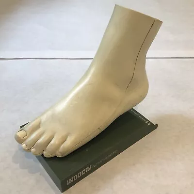 Merck Sharpe & Dome Anatomic Foot Model • $49.99