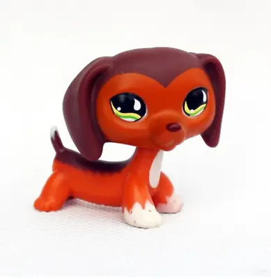 £11.99 • Buy Littlest Pet Shop Animals Collection LPS Toy #675 Savannah Savvy Dachshund Dog S