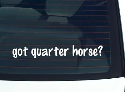 Got Quarter Horse? CAR DECAL BUMPER STICKER VINYL FUNNY JOKE WINDOW • $2.97