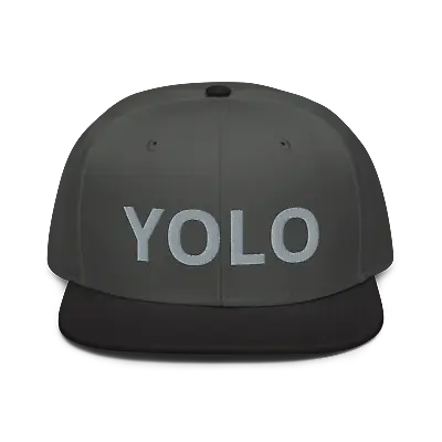 $29 • Buy YOLO ( YOU ONLY LIVE ONCE CAPS ) Snapback Hat