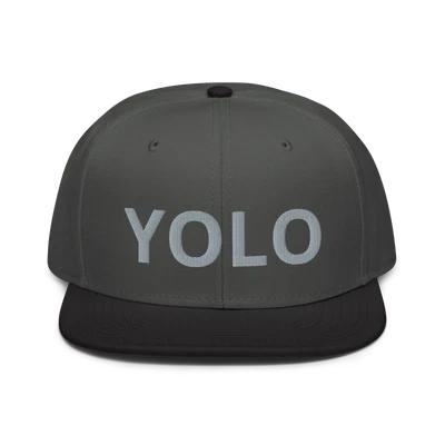 $29 • Buy YOLO ( YOU ONLY LIVE ONCE CAPS ) Snapback Hat