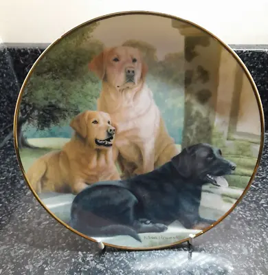£9.99 • Buy Franklin Mint Plate - Canine Companions Black Golden Labradors By Nigel Hemming