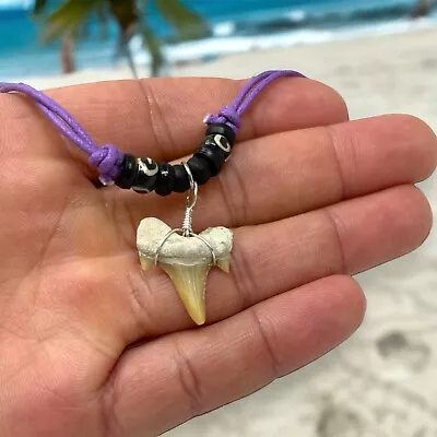 Real Shark Tooth Necklace For Boys Genuine Fossil Shark Teeth Jewelry Mens • $19.99
