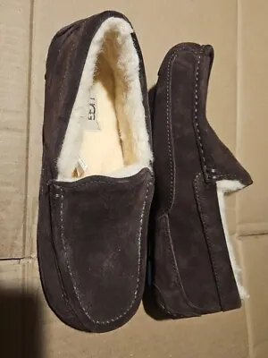 UGG Ascot Suede Men's Loafer Slippers Espresso Dark Brown Size 7 Eee • $25.96