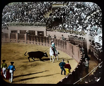 £50 • Buy A PICADOR C1880 PHOTO Magic Lantern Slide SPAIN BULLFIGHTING SPANISH BULLFIGHTER