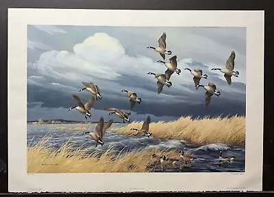 Maynard Reece Limited Edition Signed Print “Dark Sky-Canada Geese” • $99.95