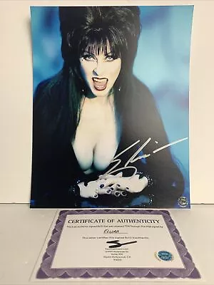 ELVIRA (Cassandra Peterson) Signed Autographed 8x10 Glossy Photo - AUTO With COA • $48.95