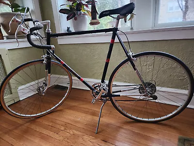 Vista Silver Shadow 10 Speed Touring Bicycle With Shimano 600 Break System • $275