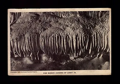 $3.25 • Buy Postcard : Virginia - Luray Va - Caverns Of Luray Fish Market White Border