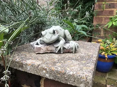 Tree Frog Statue - Garden Ornament  - Hand Cast • £14