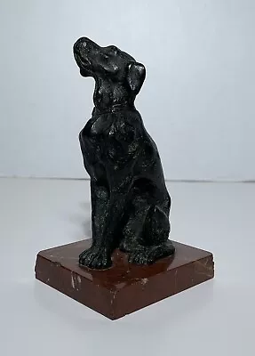 Antique BRONZE DOG LABRADOR SCULPTURE STATUE Circa 1900 • $199