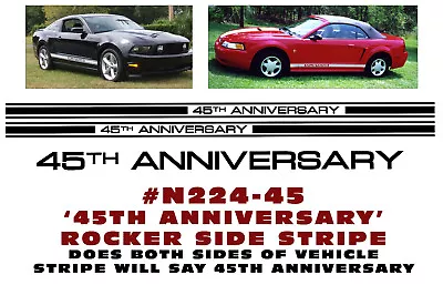 N224-45 2009 Mustang - Lower Rocker Side Stripes - 45th Anniversary • $59.95