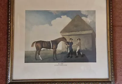 A Framed Print By George Stubbs A Portrait Of The Racehorse “Eclipse”. • £10