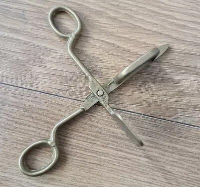£19.99 • Buy Antique Brass Candle Snuffer Scissors