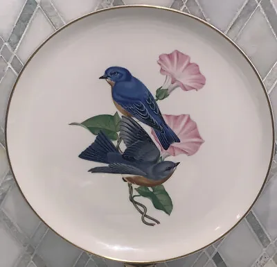 Vtg Athos Menaboni Birds Eastern Bluebird Hedge Bindweed Syracuse Plate 10.5”Dia • $24.99