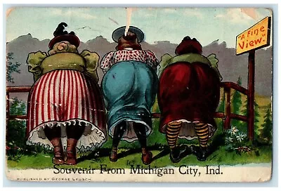 1909 Souvenir Woman Fine View Michigan City Indiana IN Vintage Antique Postcard • $14.98