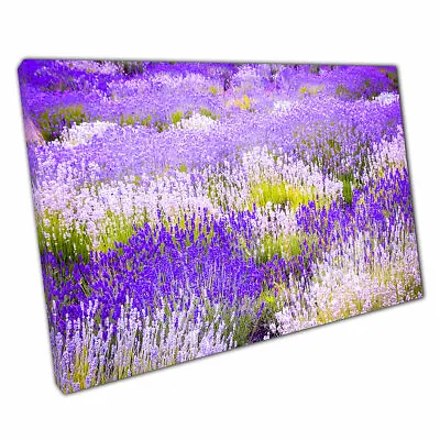 Different Shades Of Purple In Lavender Field Nature Photography Wall Art Print • £15.58