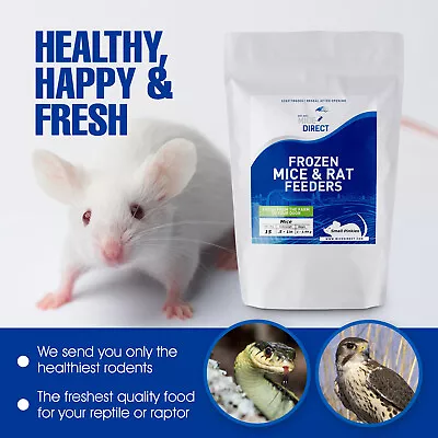 5 Frozen Feeder Rats Jumbos -FREE S&H -MiceDirect!! Rodents! Reptiles Snake Food • $124.97