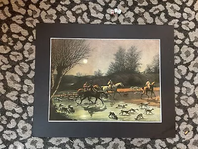 Fine Art Print Mounted Equestrian Horses  JAMES POLLARD   Vintage • £29.99