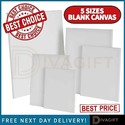 Artist Paint Canvas Panel Blank Board Art Painting Stretched Framed White Large • £4.99