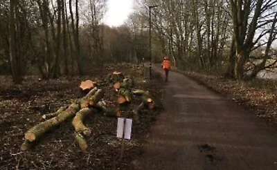 £120 • Buy Tree Removal, Wood Chipper & Chainsaw Operator Hire