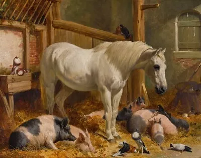 John Herring Stable Interior With A Dappled Grey Horse Pigs And Doves Canvas • $39.99