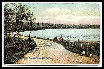 Scranton PA Moosic Lake And Road Rotograph Co Color Postcard      Pc249 • $9