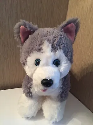 Build A Bear Husky Puppy Dog  Soft  Toy 12  Promise Pets • £11.50