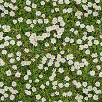 Daisy Chain On Grass 100% Cotton Digital Crafty Fabric Material Quilting Fabric • £3.99