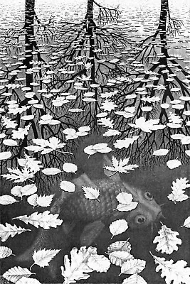 £20.99 • Buy MC Escher 3 Worlds Giclee Fine Art Print Paper Or Canvas Large Various Sizes