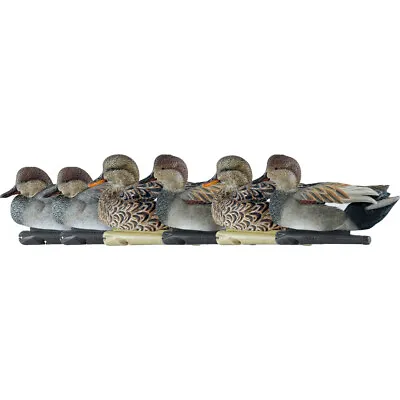 AvianX Top Flight Duck Decoys Gadwall 6 Pk. • $150.10