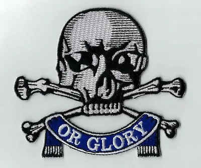 Death Or Glory Skull And Bones Iron On Patch 17th/21st -  Queen's Royal Lancers  • £7.50