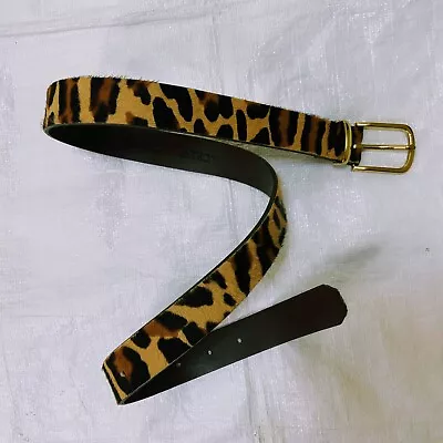 J CREW Cheetah Print Calf Hair 1  Belt Matte Gold Tone Buckle Size XS EUC • $24